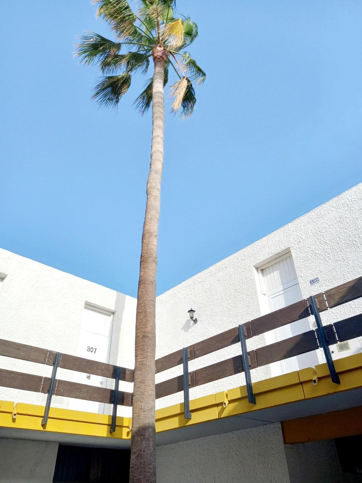 Papagayo Beach Apartments Arona  Εξωτερικό φωτογραφία